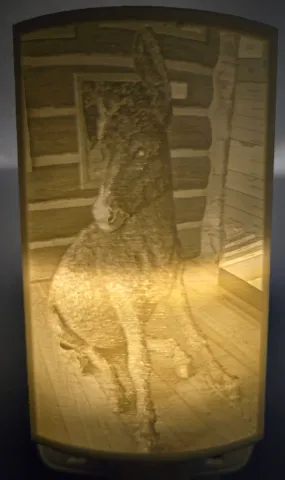 Brighty the Burro Small