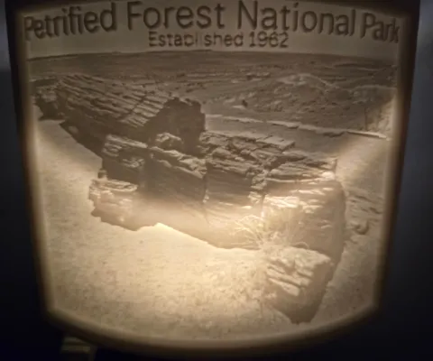 Petrified Forest National Park Nightlight Lithophane