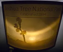 Joshua Tree National Park Nightlight Lithophane