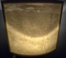Saguaro National Park Nightlight Lithophane