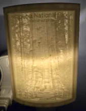 Sequoia National Park Nightlight Lithophane